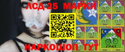 дмт Обнинск